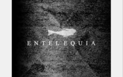 Cheb Rubën & SHMusica – Entelequia